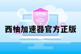 西柚加速器官方正版