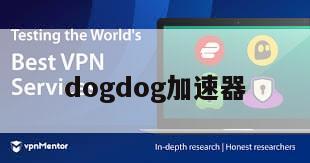 dogdog加速器