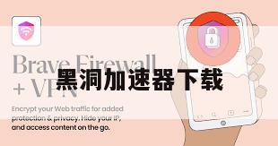 黑洞加速器下载
