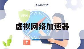 虚拟网络加速器