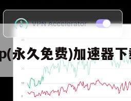 vp(永久免费)加速器下载