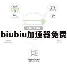 biubiu加速器免费