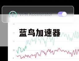 蓝鸟加速器