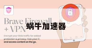 蜗牛加速器