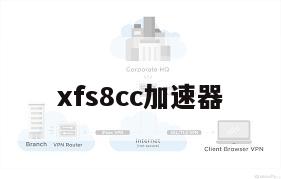 xfs8cc加速器