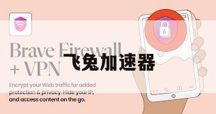 飞兔加速器