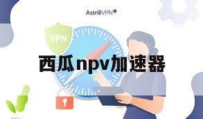 西瓜npv加速器