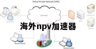 海外npv加速器