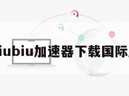 biubiu加速器下载国际服