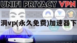黑洞vp(永久免费)加速器下载