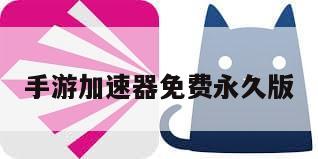 手游加速器免费永久版