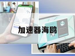 加速器海鸥