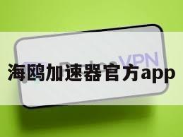 海鸥加速器官方app